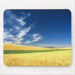 Wheat harvest on the Palouse in Eastern Mouse Mat