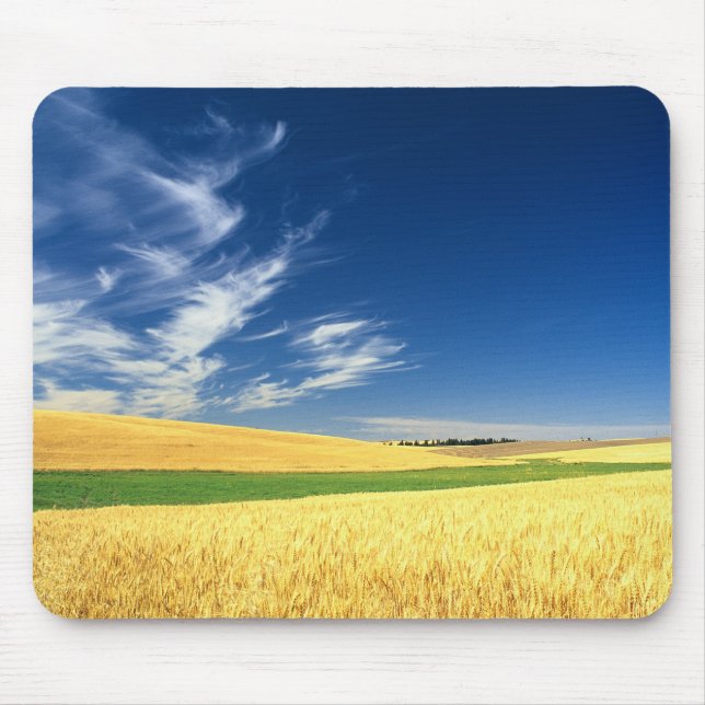 Wheat harvest on the Palouse in Eastern Mouse Mat (Front)
