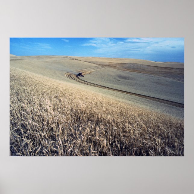 Wheat harvest poster (Front)