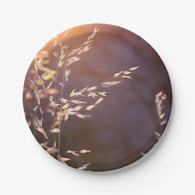 wheat in morning paper plate (Front)