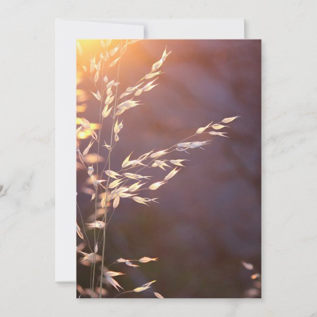 wheat in morning thank you card (Front)