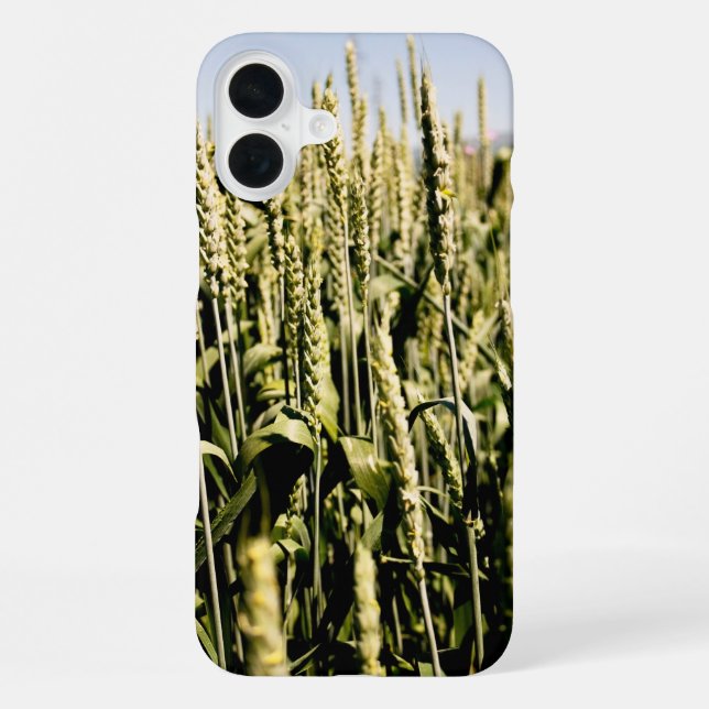 Wheat iPhone Case (Back)