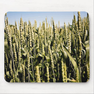 Wheat Mouse Mat