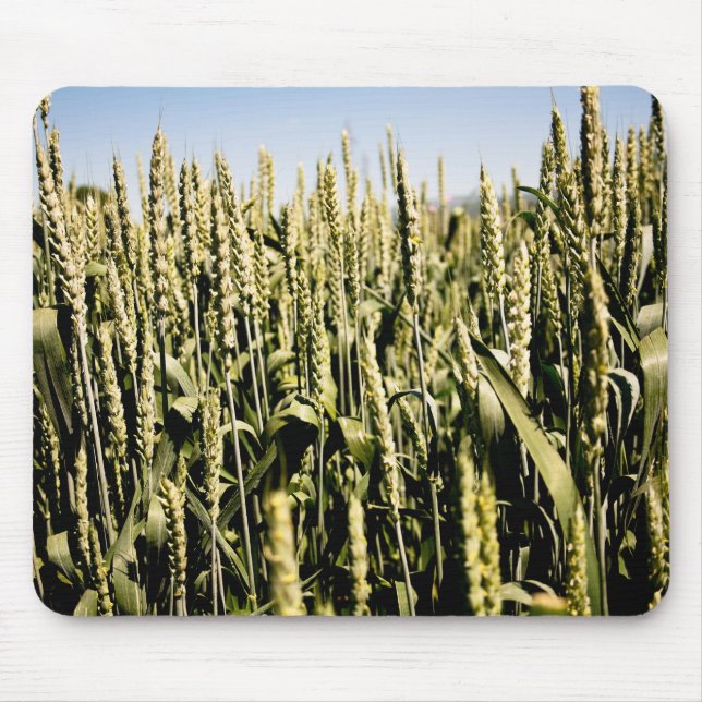 Wheat Mouse Mat (Front)
