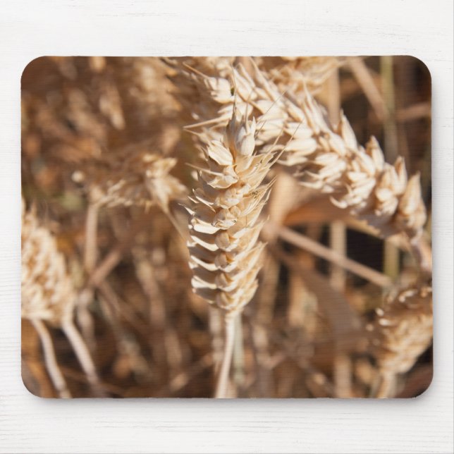 Wheat Mouse Mat (Front)