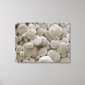 Wheat starch granules canvas print