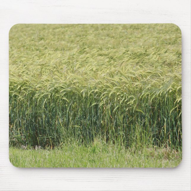 Wheat - Tasty! Mouse Mat (Front)