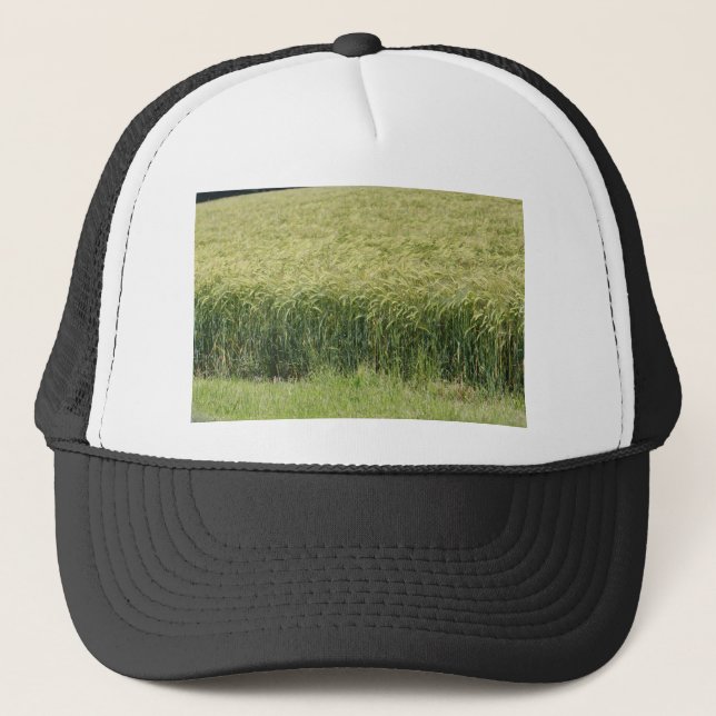 Wheat - Tasty! Trucker Hat (Front)