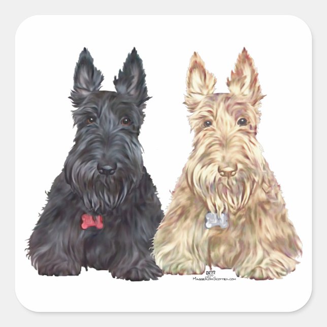 Wheaten and Black Scottie Dogs Square Sticker (Front)