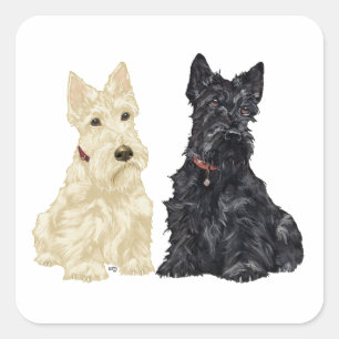 Wheaten and Black Scottish Terriers Square Sticker