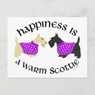 Wheaten & Black Scottie Happiness Postcard