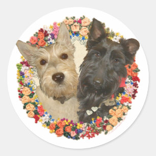 Wheaten & Black Scotties Classic Round Sticker