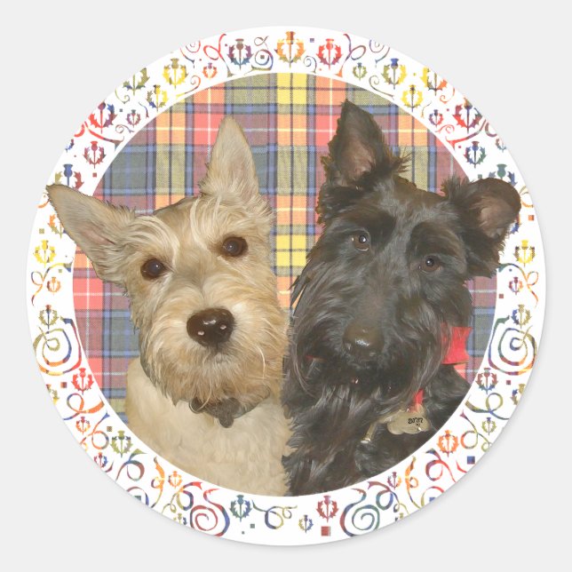 Wheaten & Black Scotties on Tartan Classic Round Sticker (Front)
