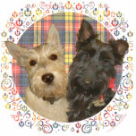Wheaten & Black Scotties on Tartan Standing Photo Sculpture<br><div class="desc">Each of the designs is available on all of the Zazzle products.  Please scroll to Transfer This Design on this product's page and choose your favourite product.  You may customise your choice with our Text Tool,  as well.  There are many marvellous Fonts to choose from.  Thank you!</div>