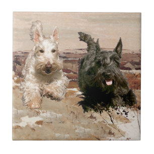 Wheaten & Black Scotties Running Tile