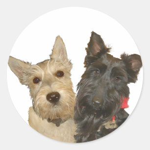 Wheaten & Black Scottish Terriers Classic Round Sticker