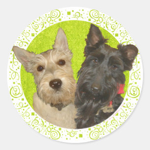 Wheaten & Black Scottish Terriers Classic Round Sticker