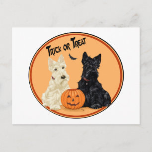 Wheaten & Black Scottish Terriers Halloween Postcard