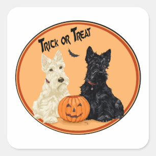 Wheaten & Black Scottish Terriers Halloween Square Sticker