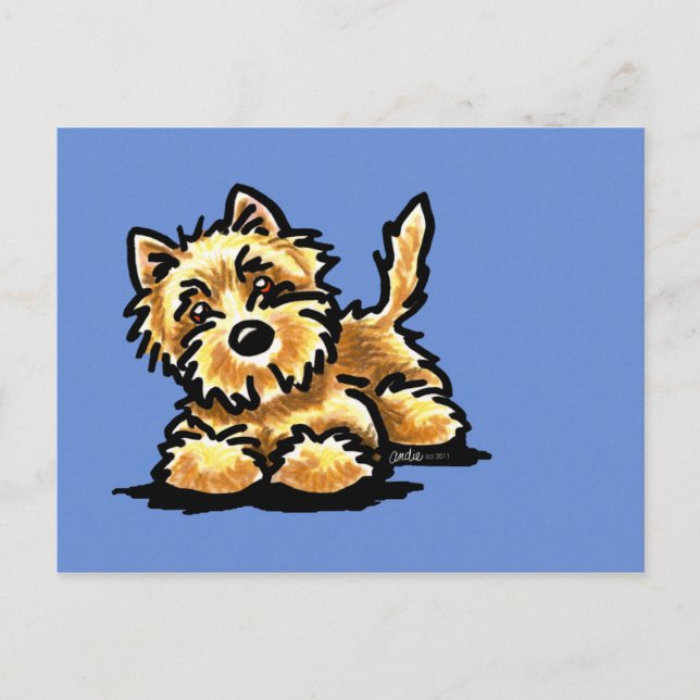 Wheaten Cairn Terrier Postcard (Front)