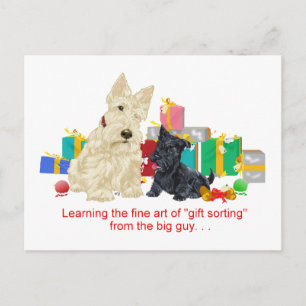 Wheaten Scottie and Pup Holiday Postcard