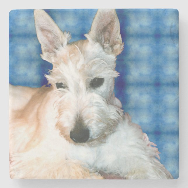 Wheaten Scottie Marble Coster Stone Coaster (Front)
