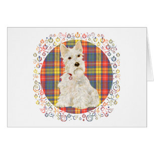 Wheaten Scottie on Buchanan Tartan