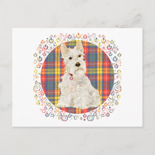 Wheaten Scottie on Buchanan Tartan Postcard