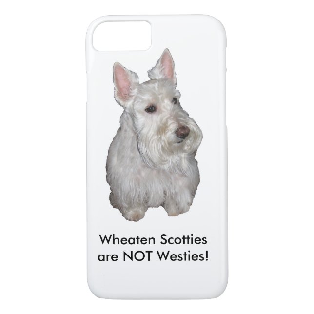 Wheaten Scotties are NOT Westies! Case-Mate iPhone Case (Back)