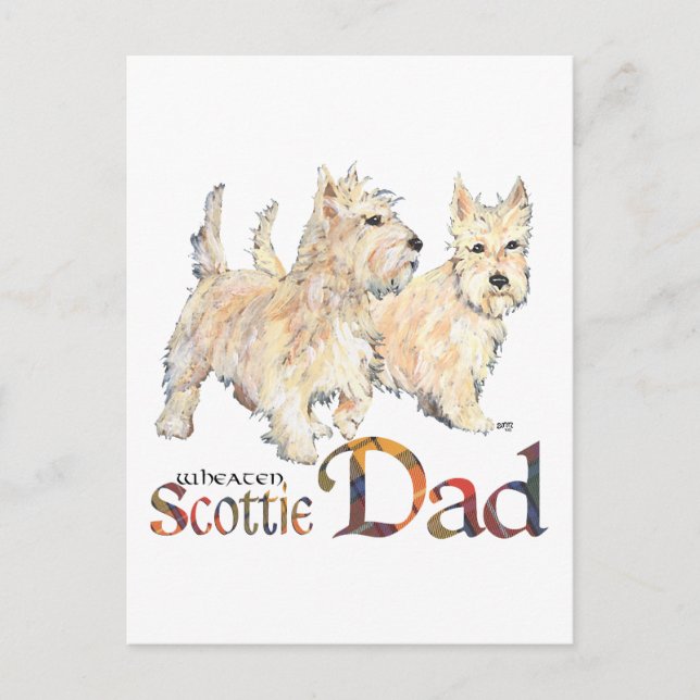 Wheaten Scotties Celebrate Father's Day Postcard (Front)