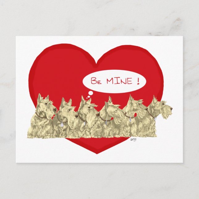 Wheaten Scotties Valentine Holiday Postcard (Front)