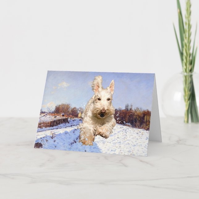 Wheaten Scottish Terrier Greeting Card (Front)