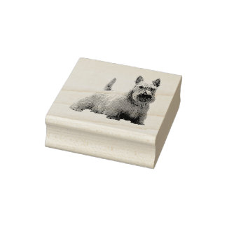 Wheaten Scottish terrier happy/front-sitting view Rubber Stamp