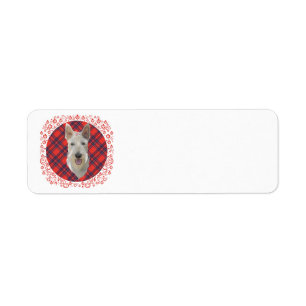 Wheaten Scottish Terrier on Tartan