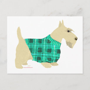 Wheaten Scottish Terrier Sweater Postcard