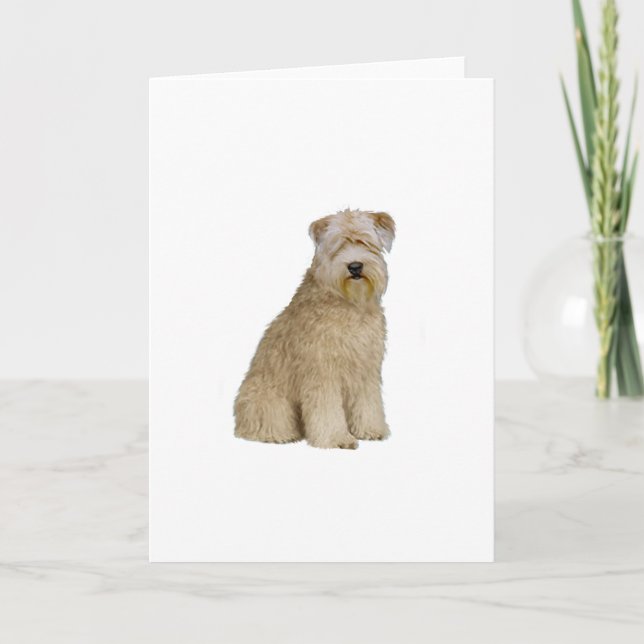 Wheaten Terrier (B)  (sit) Card (Front)