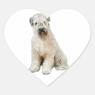 Wheaten Terrier (C) Heart Sticker