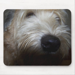 Wheaten Terrier Dog Face Mouse Mat
