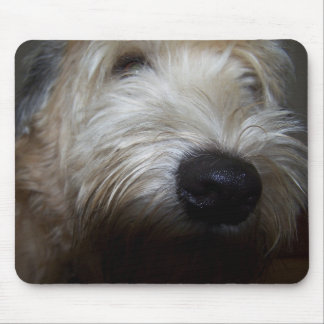 Wheaten Terrier Dog Face Mouse Mat