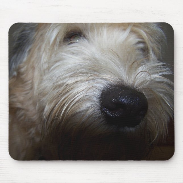 Wheaten Terrier Dog Face Mouse Mat (Front)