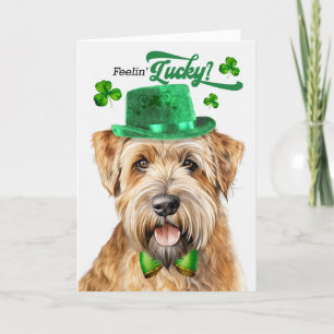 Wheaten Terrier Dog Feelin' Lucky St Patrick's Day Holiday Card