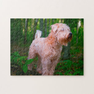 Wheaten Terrier Dog Jigsaws. Jigsaw Puzzle