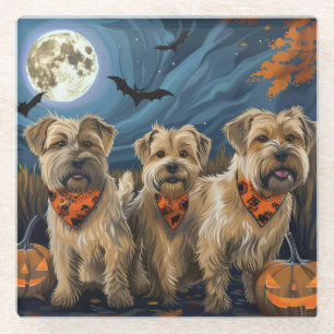 Wheaten Terrier Halloween Spooky Glass Coaster