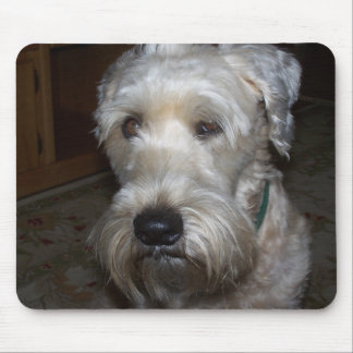 Wheaten Terrier Mouse Mat