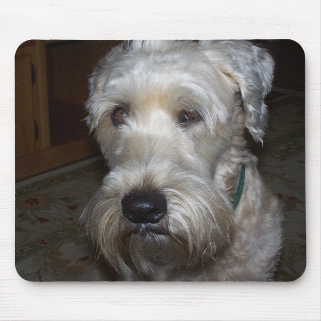 Wheaten Terrier Mouse Mat (Front)