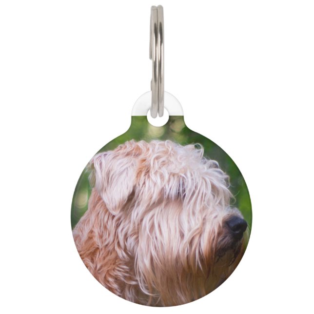 Wheaten Terrier Pet Tag (Front)
