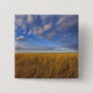 Wheatgrass and dramatic skies at Freezeout Lake 15 Cm Square Badge