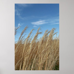 Wheatgrass Poster