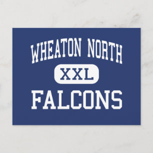 Wheaton North - Falcons - High - Wheaton Illinois Postcard