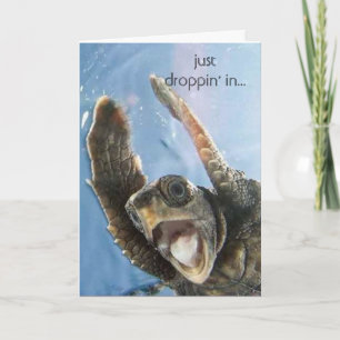 wheeeeeeeeeeeee turtle, just droppin' in... card
